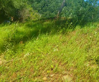 柳關欒盧鉛鋅礦|治理排土“瘡疤”，繪就綠色畫卷